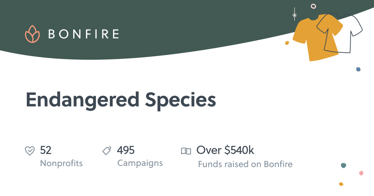 Endangered Species Organizations & Charities | Bonfire