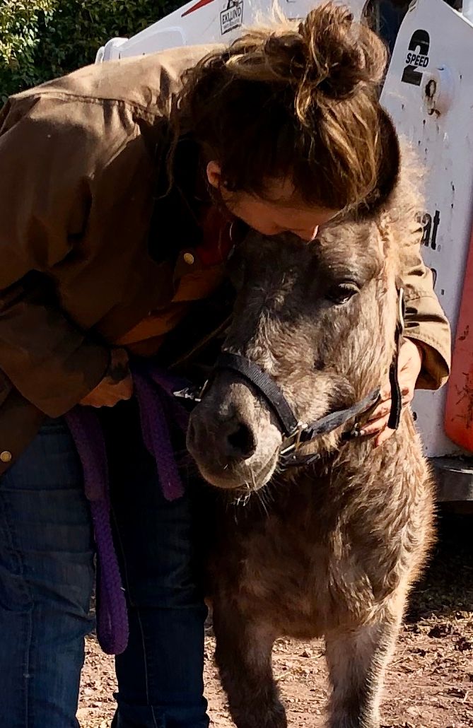 About the Rudy, our Badass mini-mule! campaign on Bonfire 2