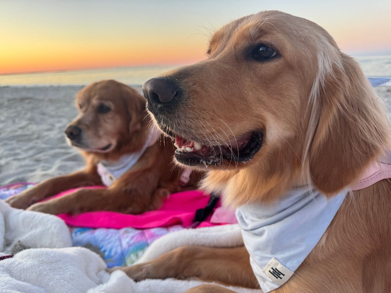 About the ?&nbsp;Every Golden Mile Counts -Team BMC campaign on Bonfire 2