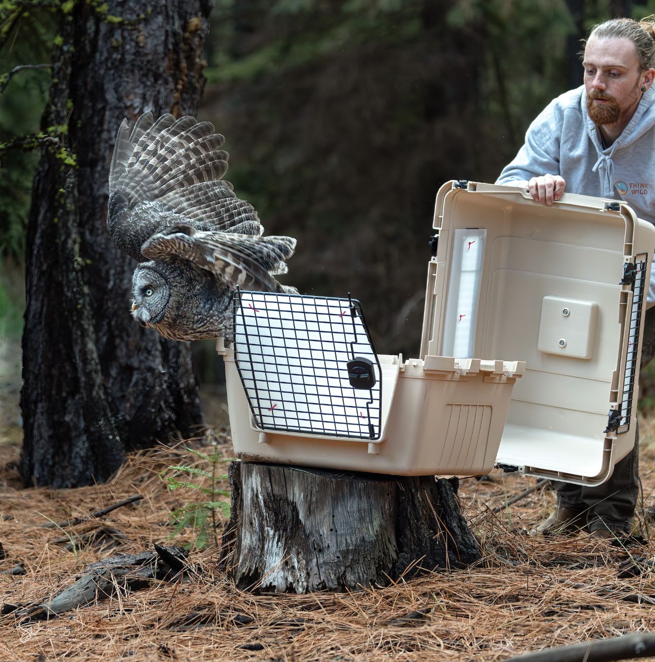 About the Hip Packs campaign on Bonfire 2