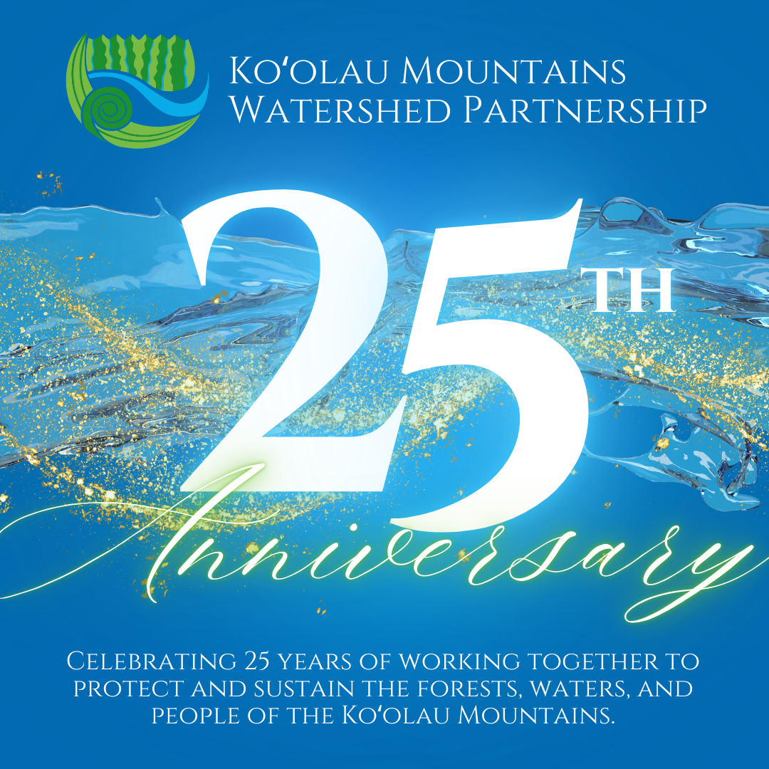 About the KMWP's 25th Anniversary campaign on Bonfire 2