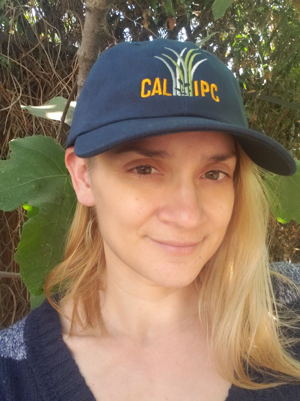 About the Cal-IPC Hat campaign on Bonfire 2