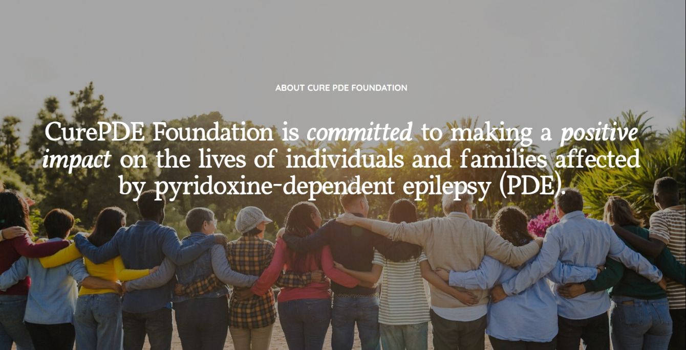 About the Cure PDE campaign on Bonfire 2