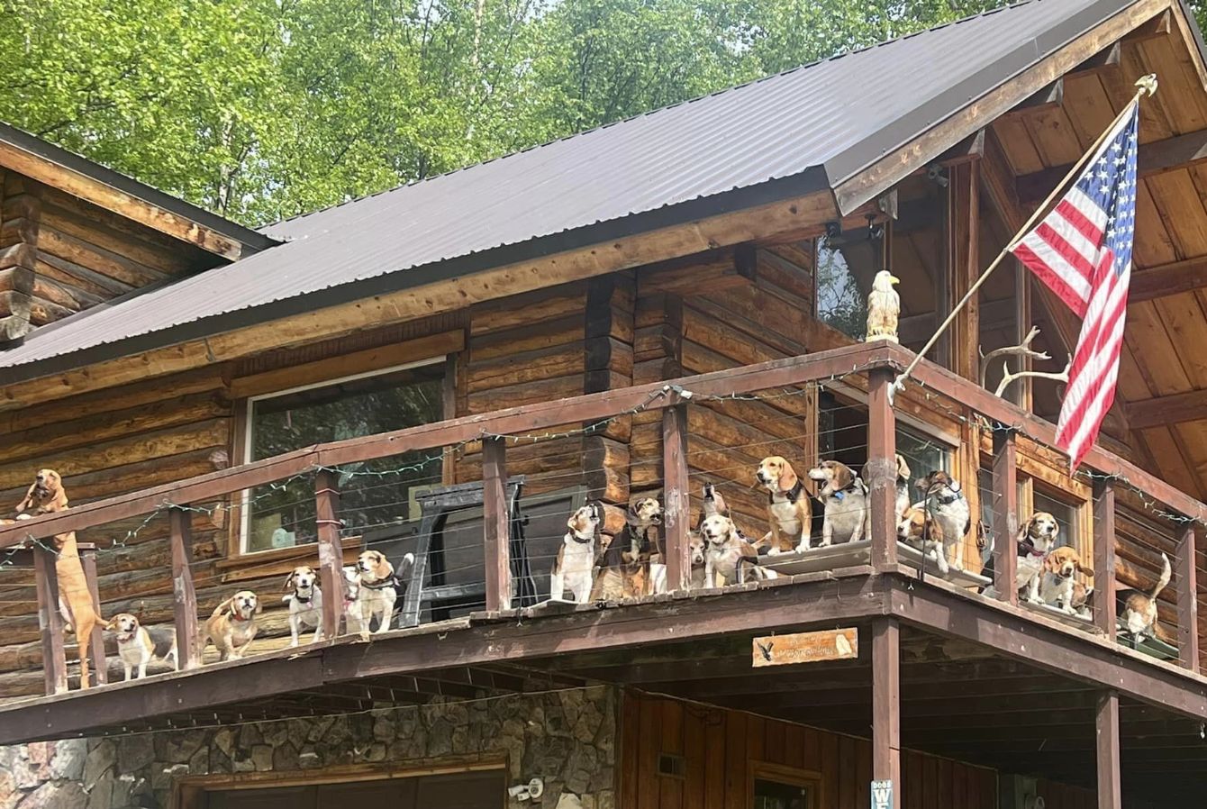 About the  campaign on Bonfire 2