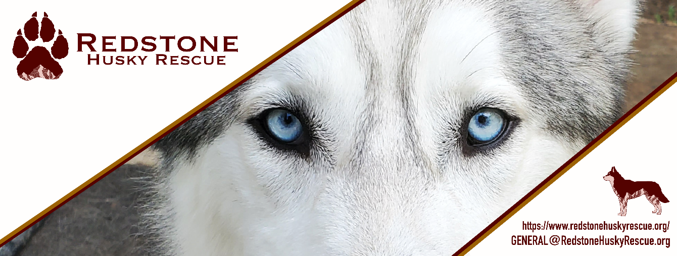 About the Redstone Husky Rescue Standard Design - Red campaign on Bonfire 2