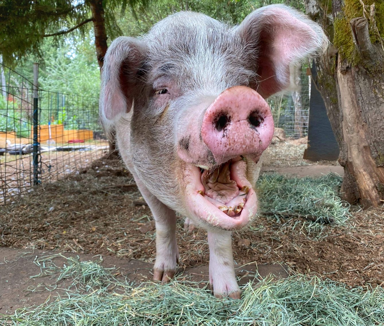 About the Delilah Enjoying Fall campaign on Bonfire 2