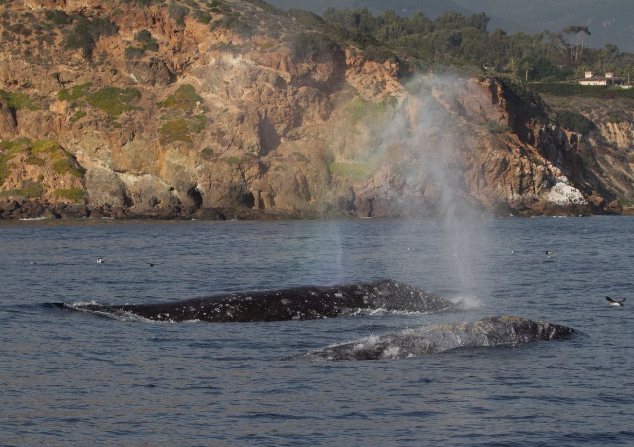 About the be the change campaign on Bonfire 2