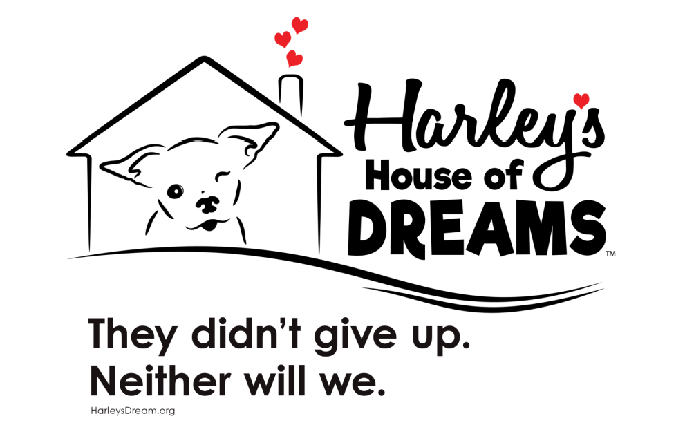 About the Harley's House of Dreams&nbsp; campaign on Bonfire 2