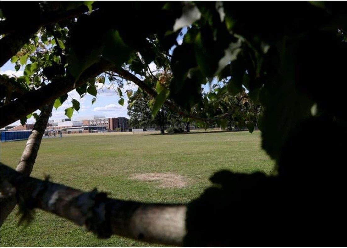 About the For Cod and Country Save the Ocean campaign on Bonfire 4