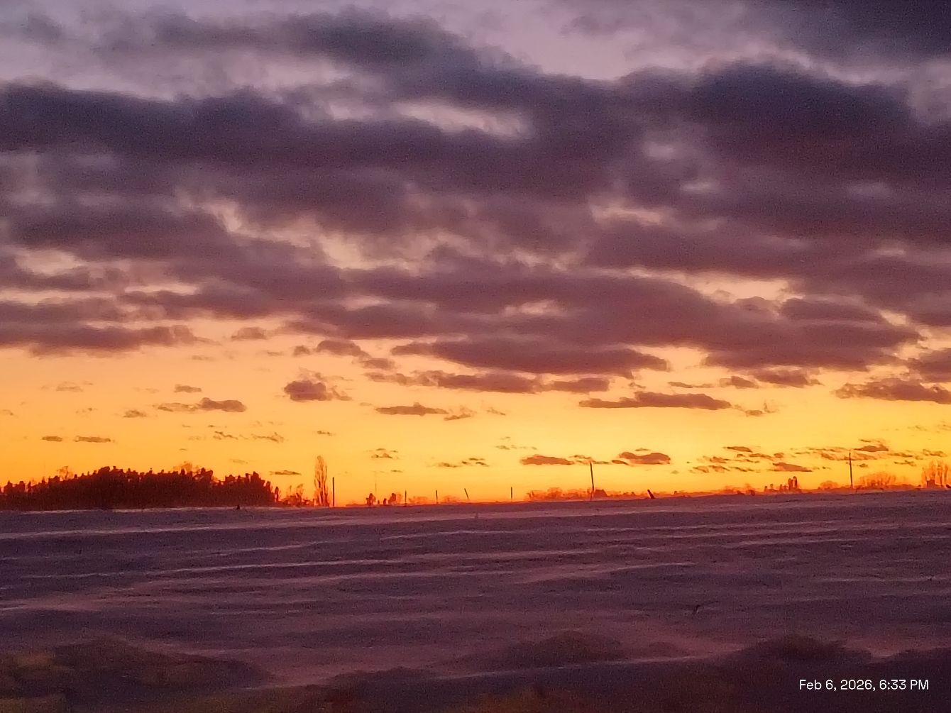 About the  campaign on Bonfire 2