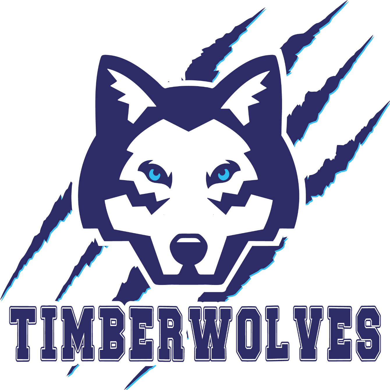 About the Timberwolves 'Scratch' Shirt campaign on Bonfire 2