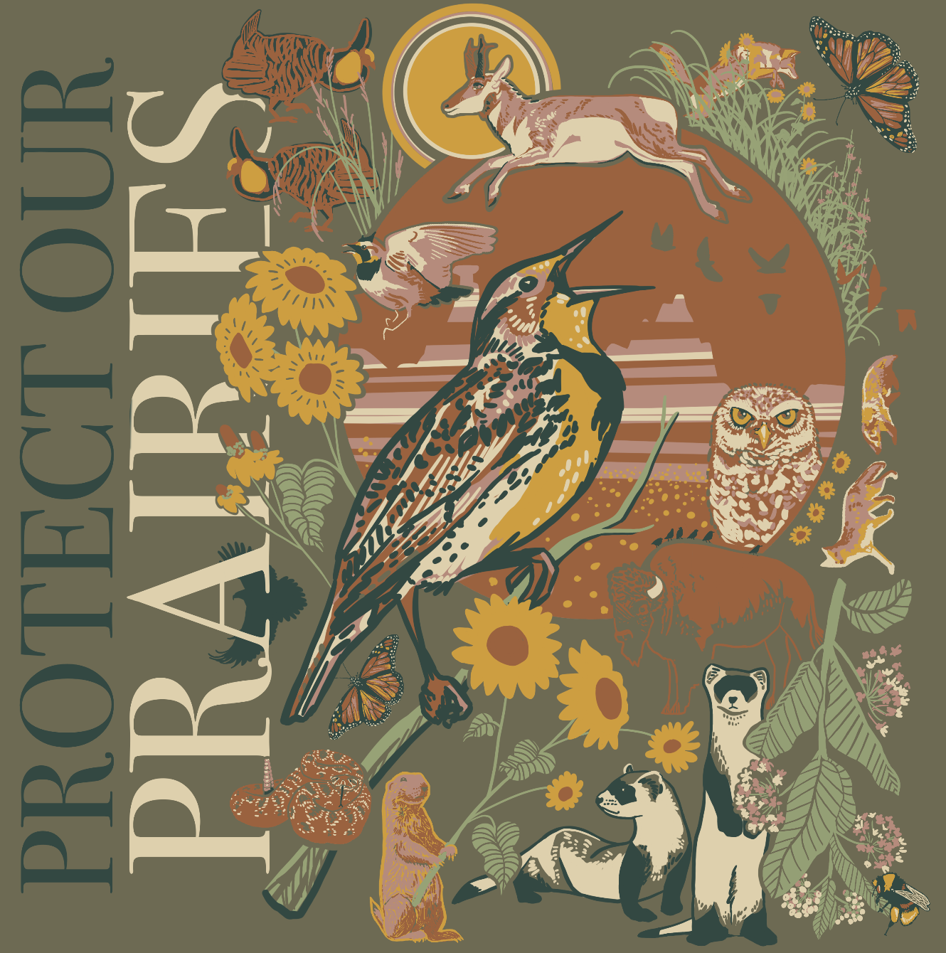 About the Protect Our Prairies Tee campaign on Bonfire 1