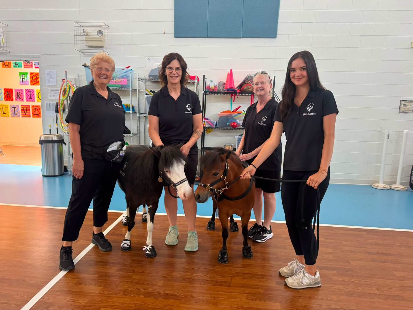 About the Dynamic Equine Bodywork Hat campaign on Bonfire 3