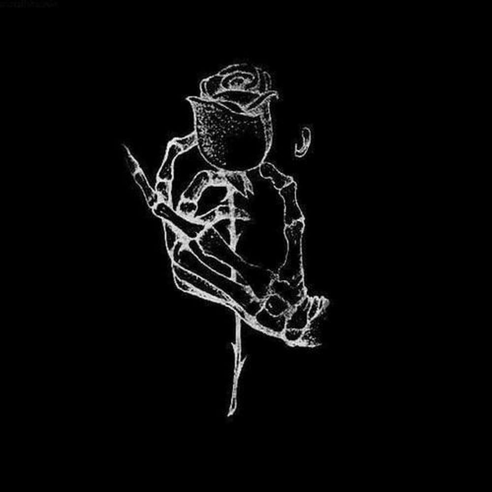 About the  campaign on Bonfire 4