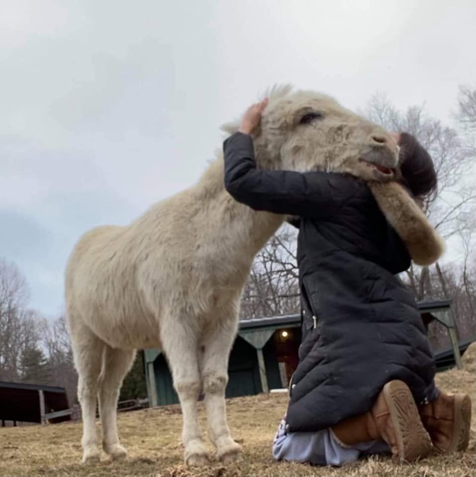 About the  campaign on Bonfire 2