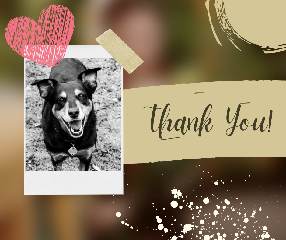 About the Paws4Potter's 9th Annual Dog Walk campaign on Bonfire 2