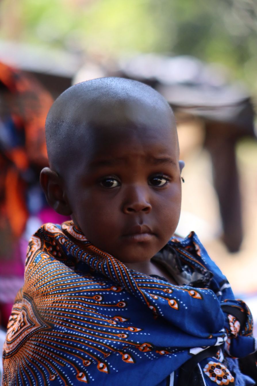 About the  campaign on Bonfire 6