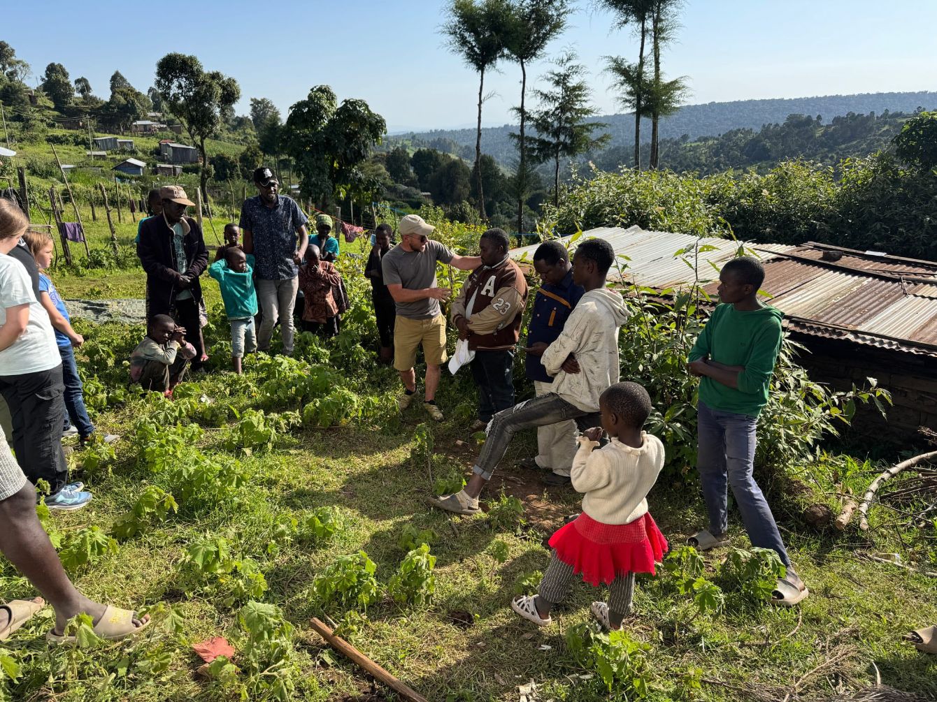 About the  campaign on Bonfire 5