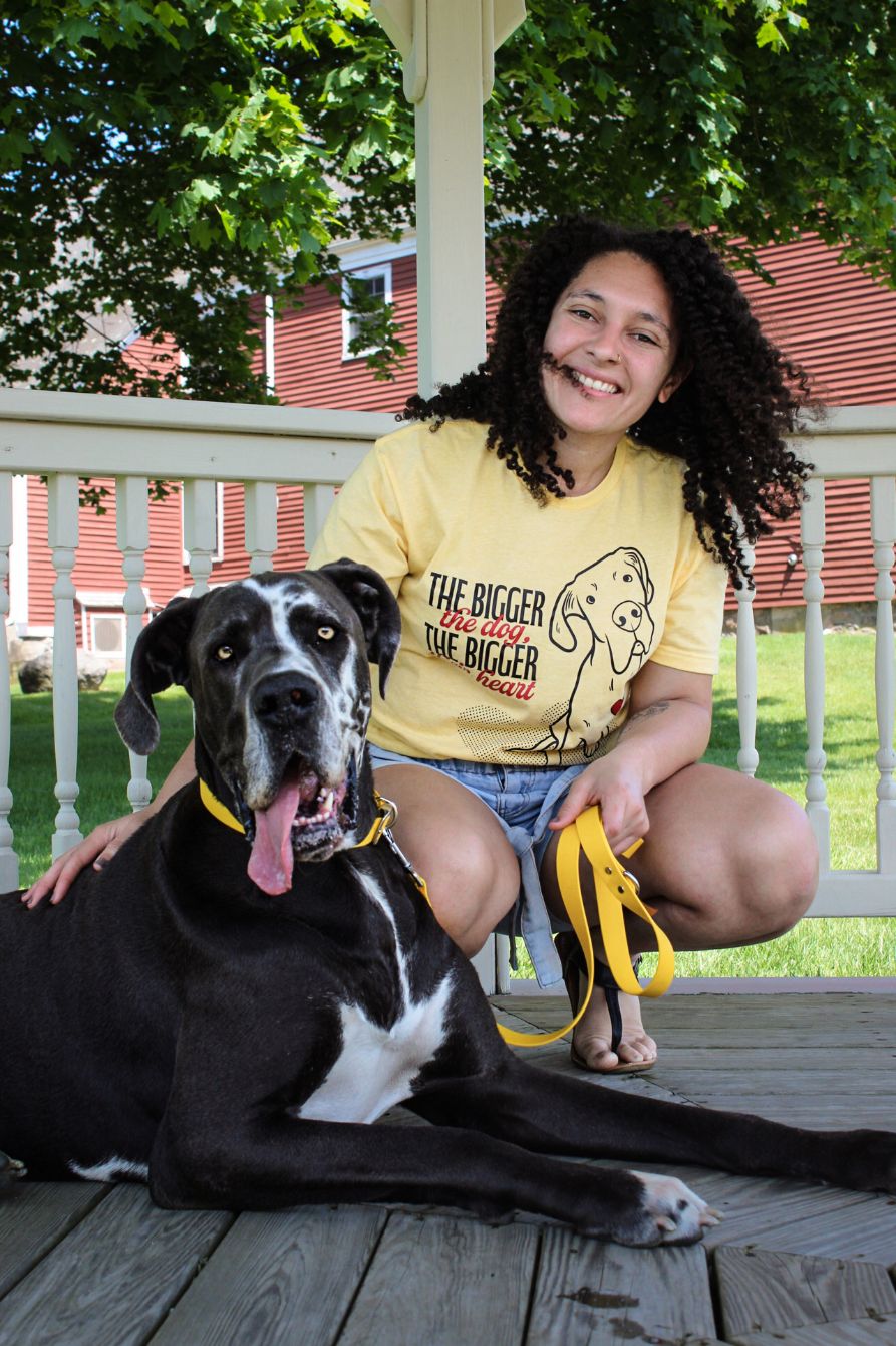 About the The bigger the dog, the bigger their heart campaign on Bonfire 0