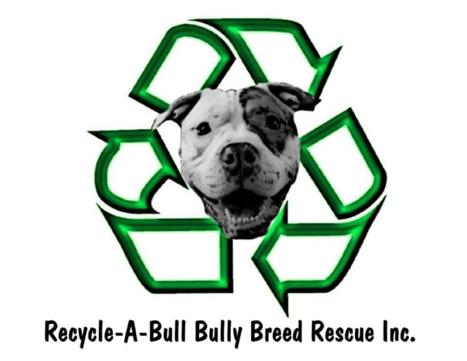 About the Show me your pitties! campaign on Bonfire 1