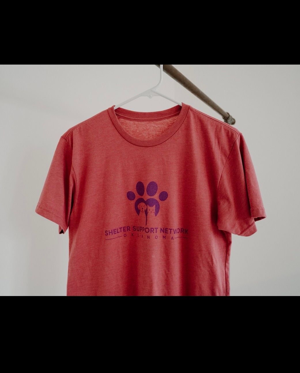 About the Shelter Support Network campaign on Bonfire 2