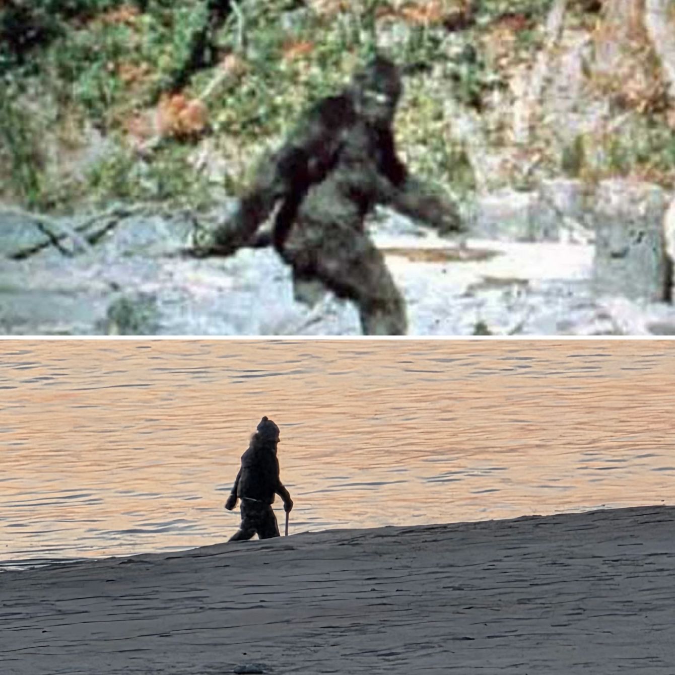 About the SquatchMeWork campaign on Bonfire 2