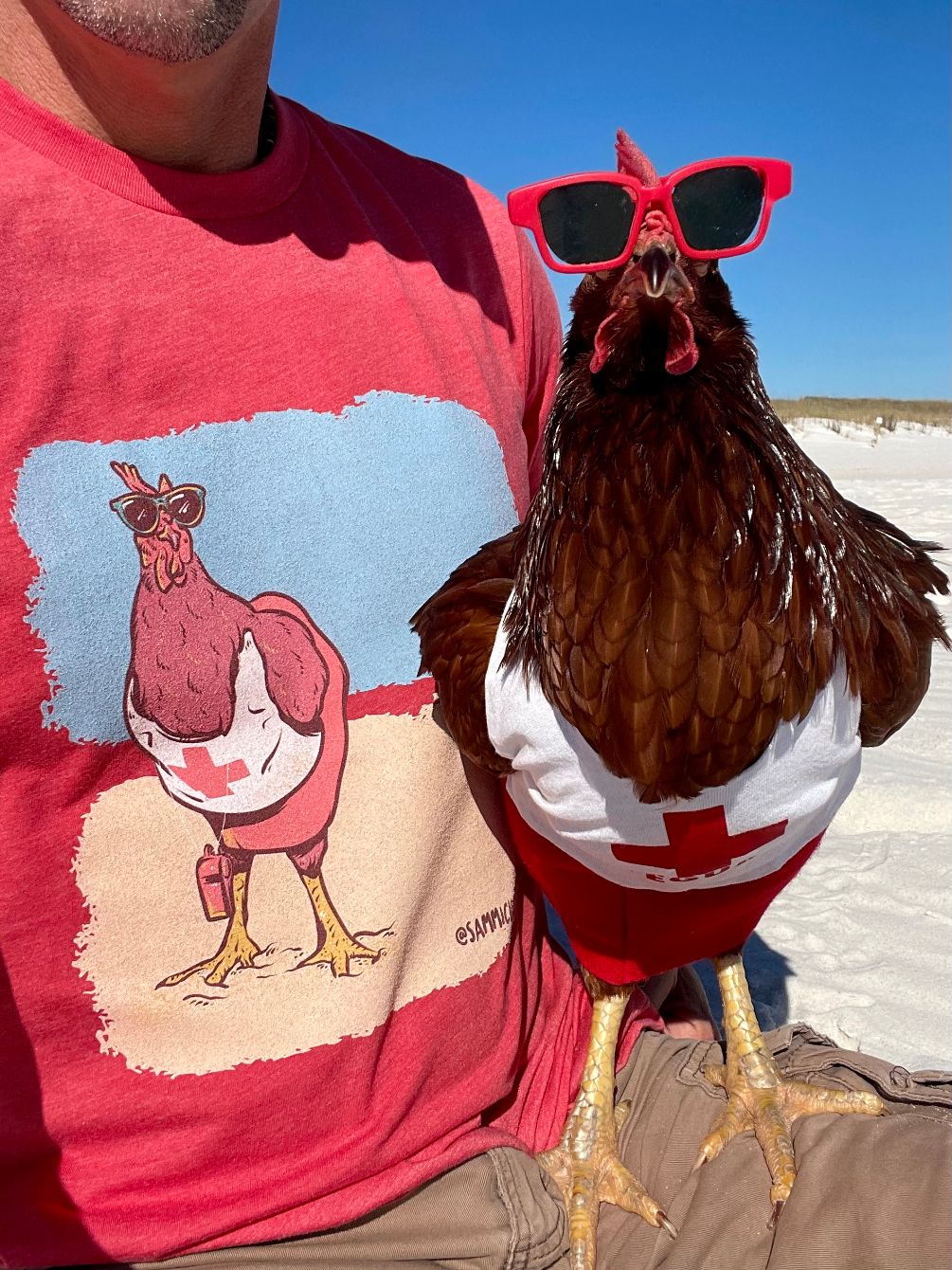 About the Sammi Chicken! campaign on Bonfire 2