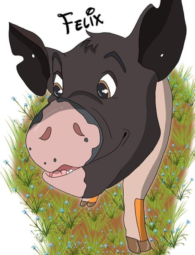 About the Valenswine 2026 campaign on Bonfire 2