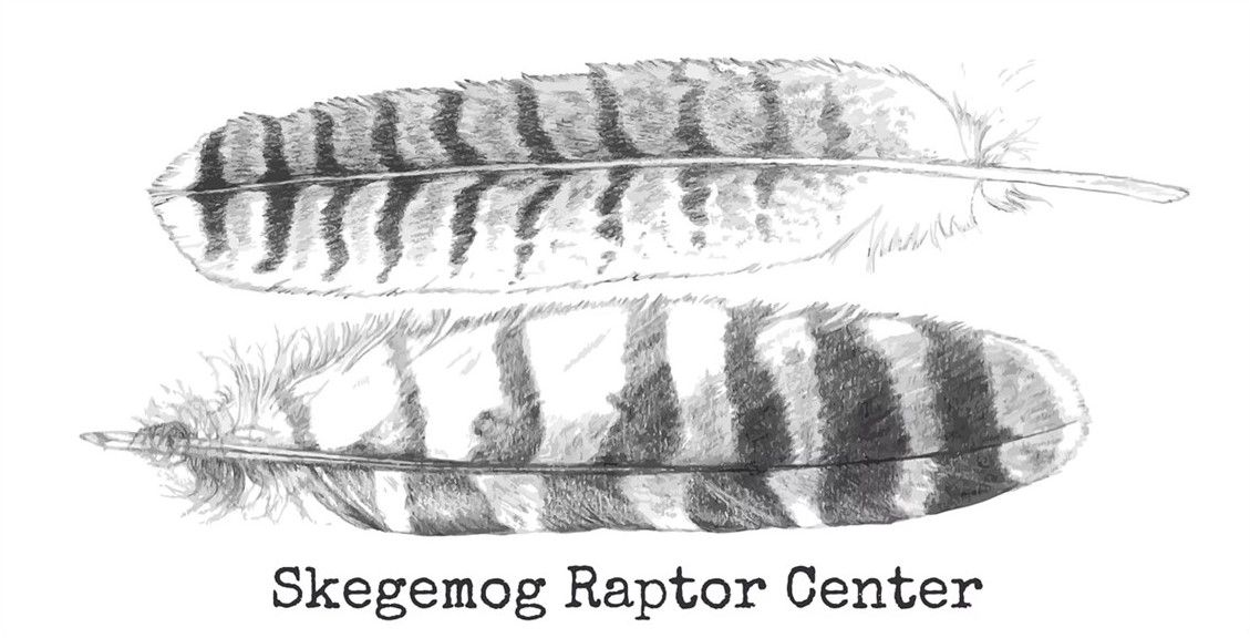 About the Skegemog Raptor Center feather logo campaign on Bonfire 2