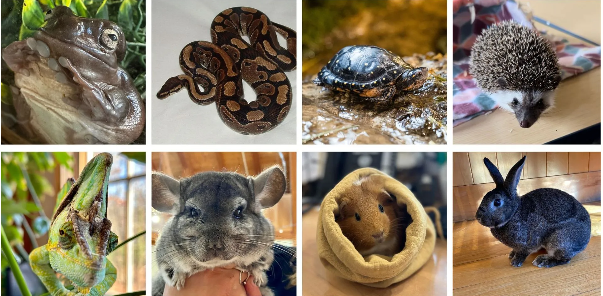 About the DNC Giving Tuesday Sale campaign on Bonfire 3