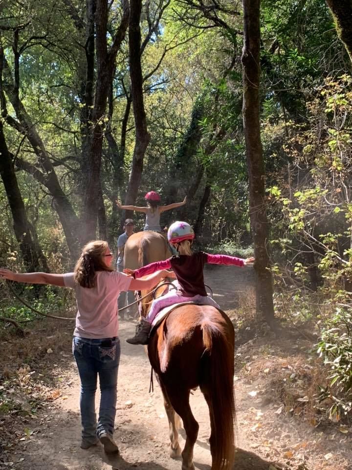 About the Healing Horses and Helping Humans campaign on Bonfire 2
