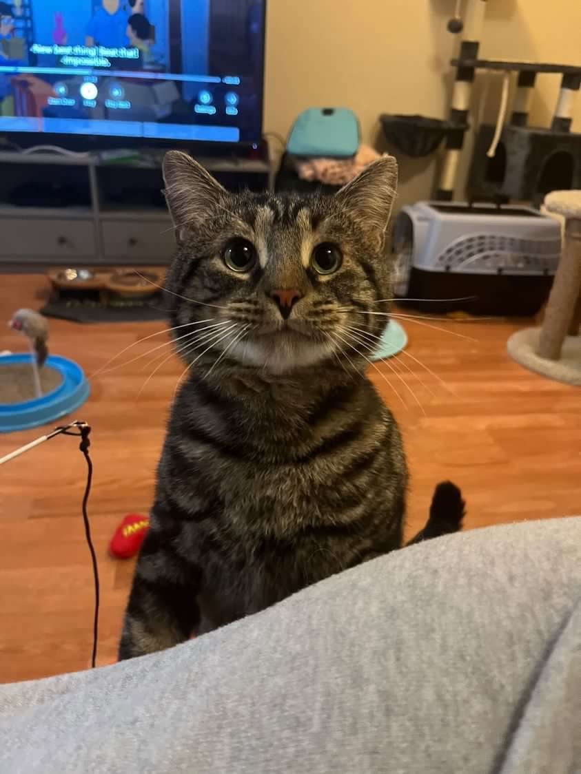 About the To be loved is to be changed campaign on Bonfire 3