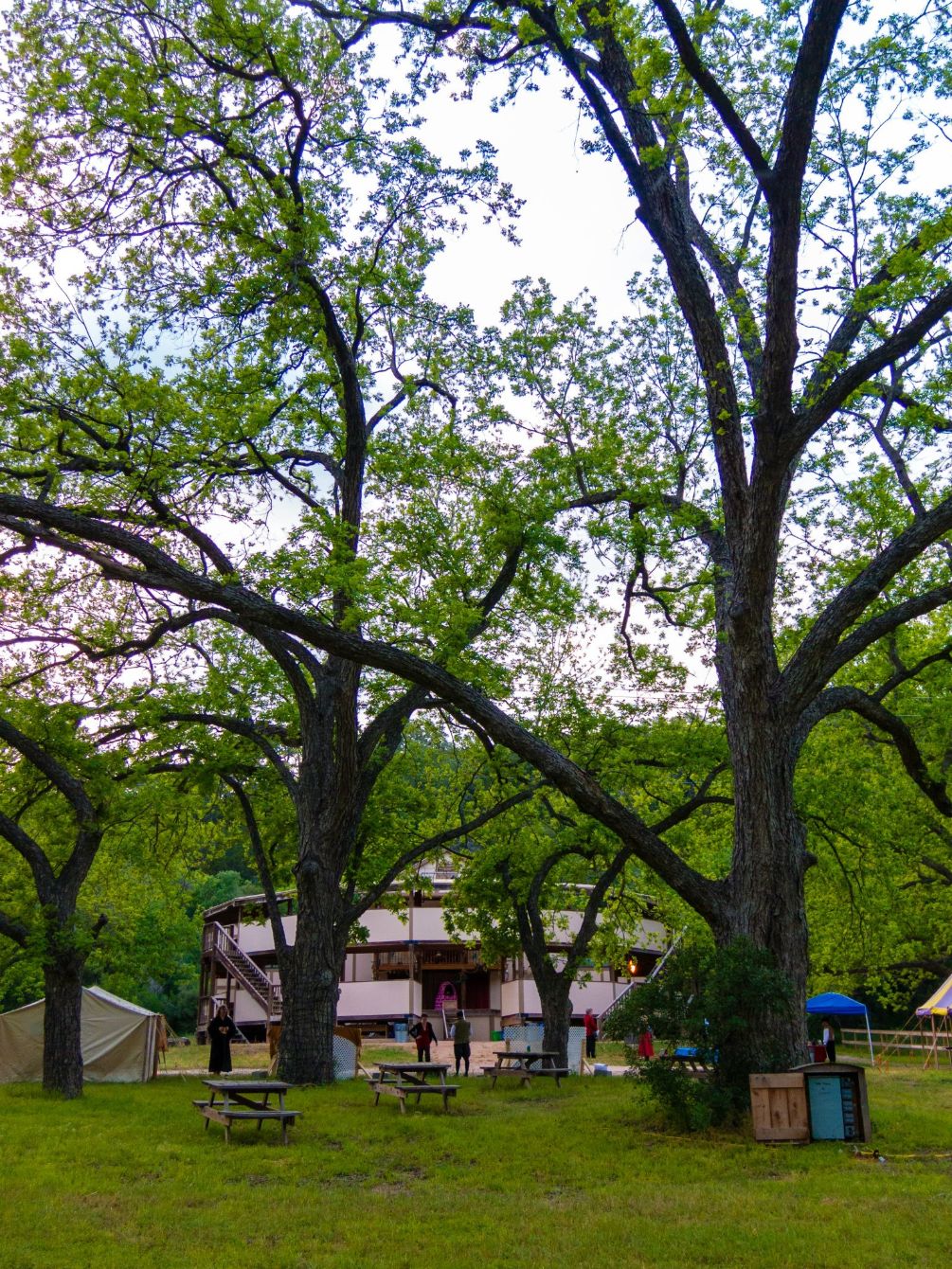 About the All The World's A Stage campaign on Bonfire 4