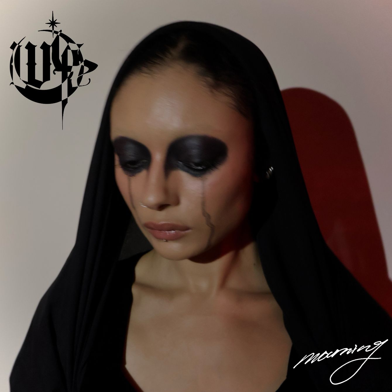 About the Mourning Album Cover Tote (Black & White) campaign on Bonfire 2