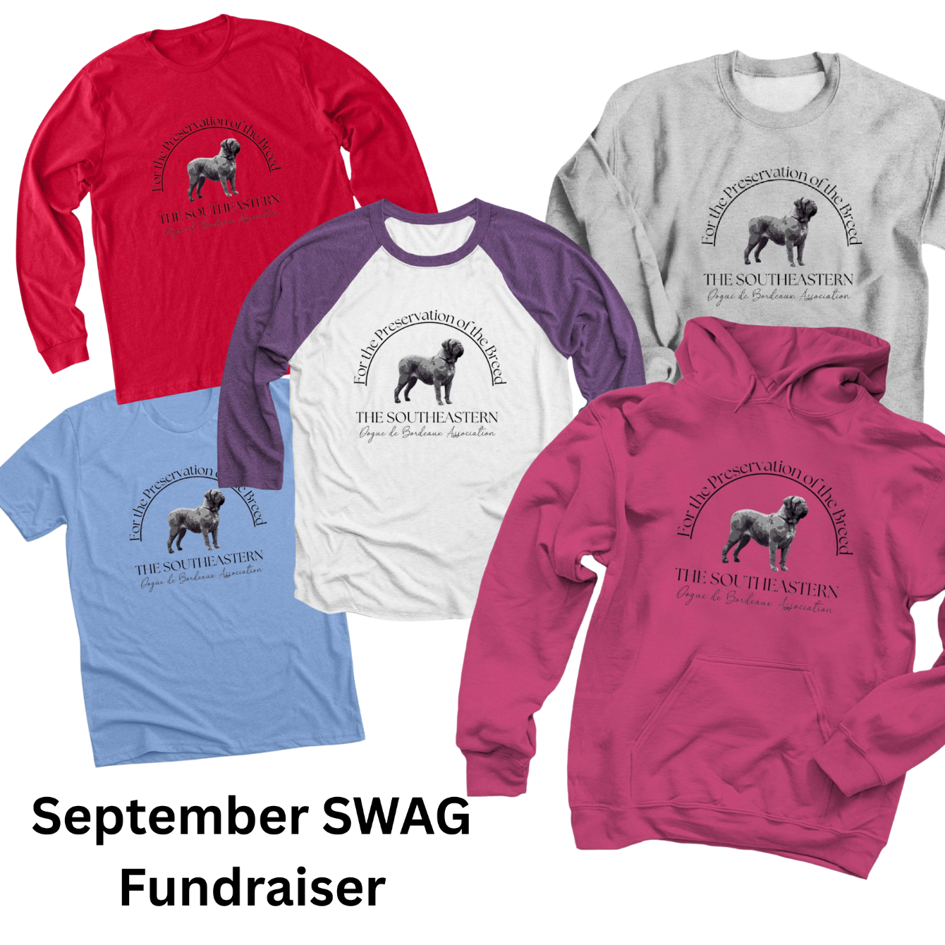 About the Logo T-Shirts & Hoodies campaign on Bonfire 2