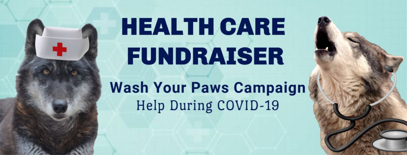 About the Bathtime! Wash your paws! campaign on Bonfire 2