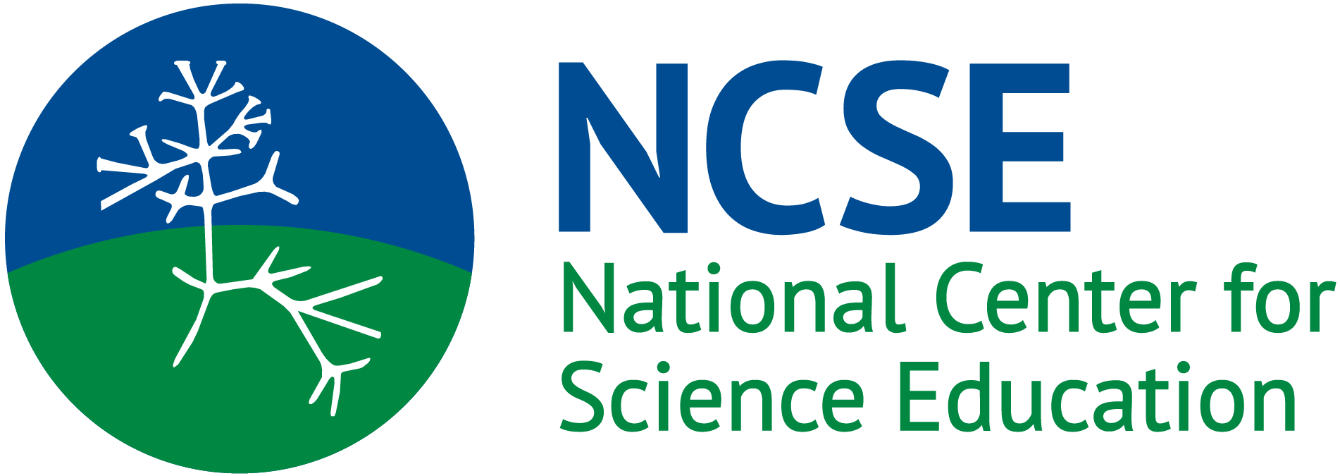 About the  campaign on Bonfire 2