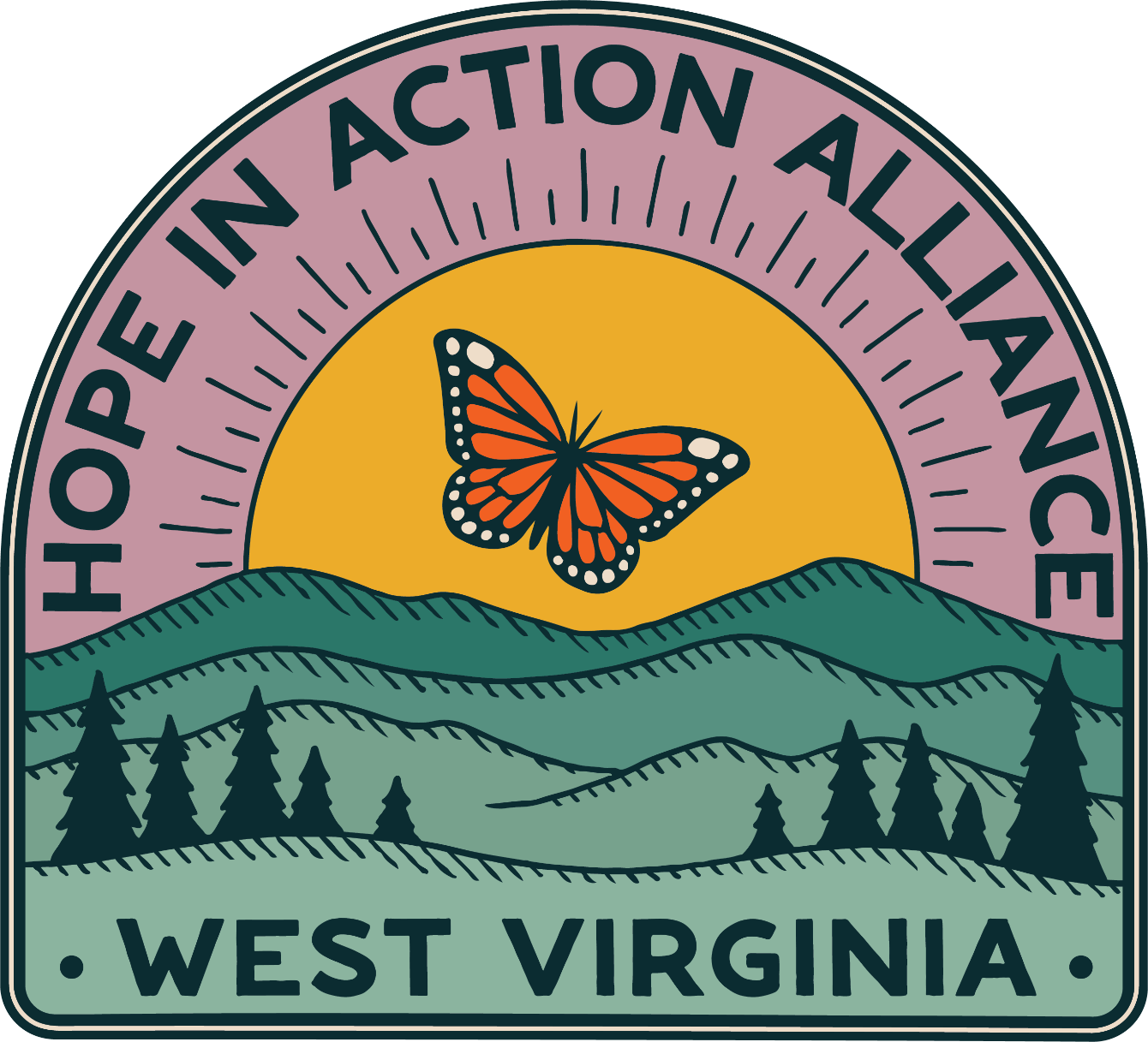 About the Hope in Action Alliance, Inc. campaign on Bonfire 2