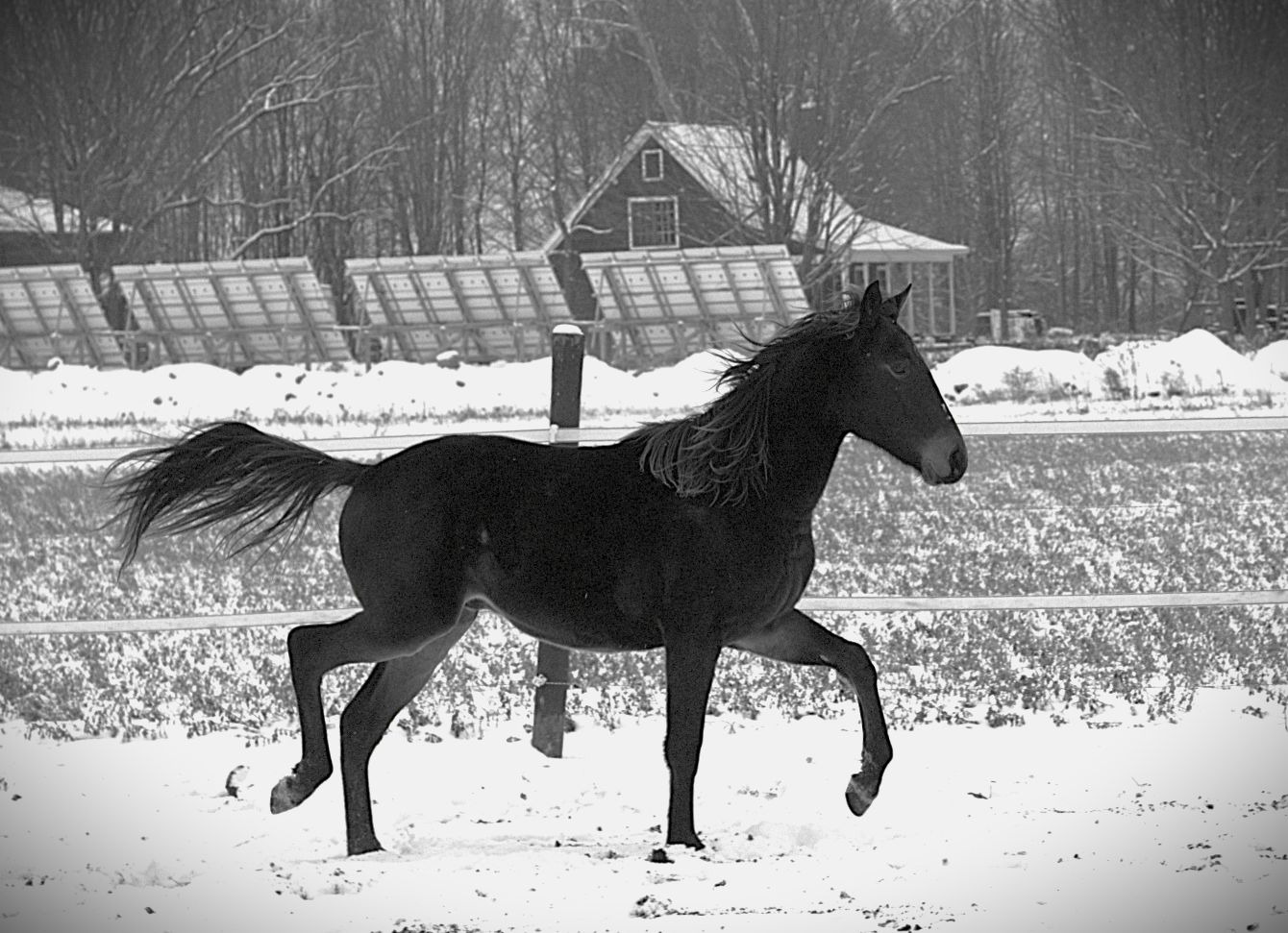 About the Too Wild to Worry Fundraiser campaign on Bonfire 2