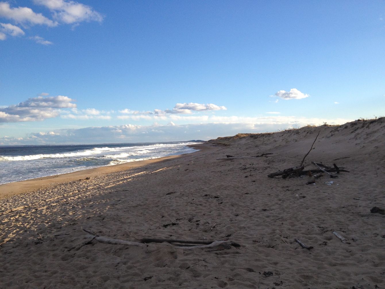 About the Friends of Parker River NWR  campaign on Bonfire 2