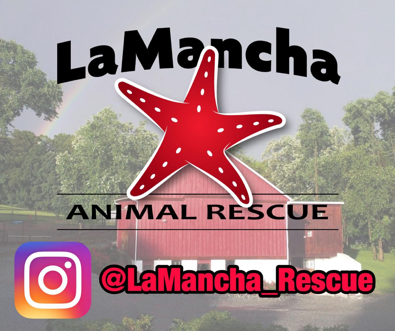 About the RESCUE campaign on Bonfire 2