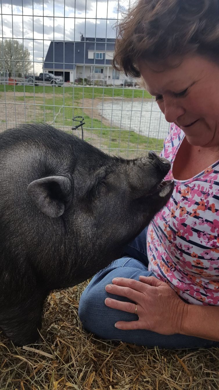 About the The Last Stop Animal Rescue and Sanctuary campaign on Bonfire 9
