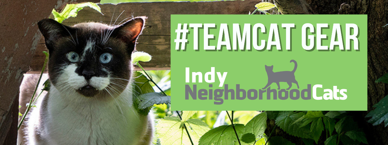 About the Join the team and FIX THEM ALL! campaign on Bonfire 2