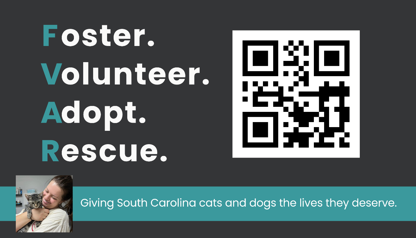 About the Rescue Circle campaign on Bonfire 2