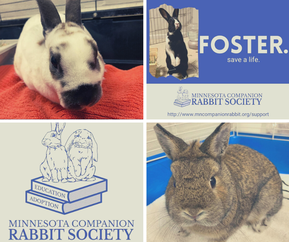 About the MCRS Holiday Shirts campaign on Bonfire 2