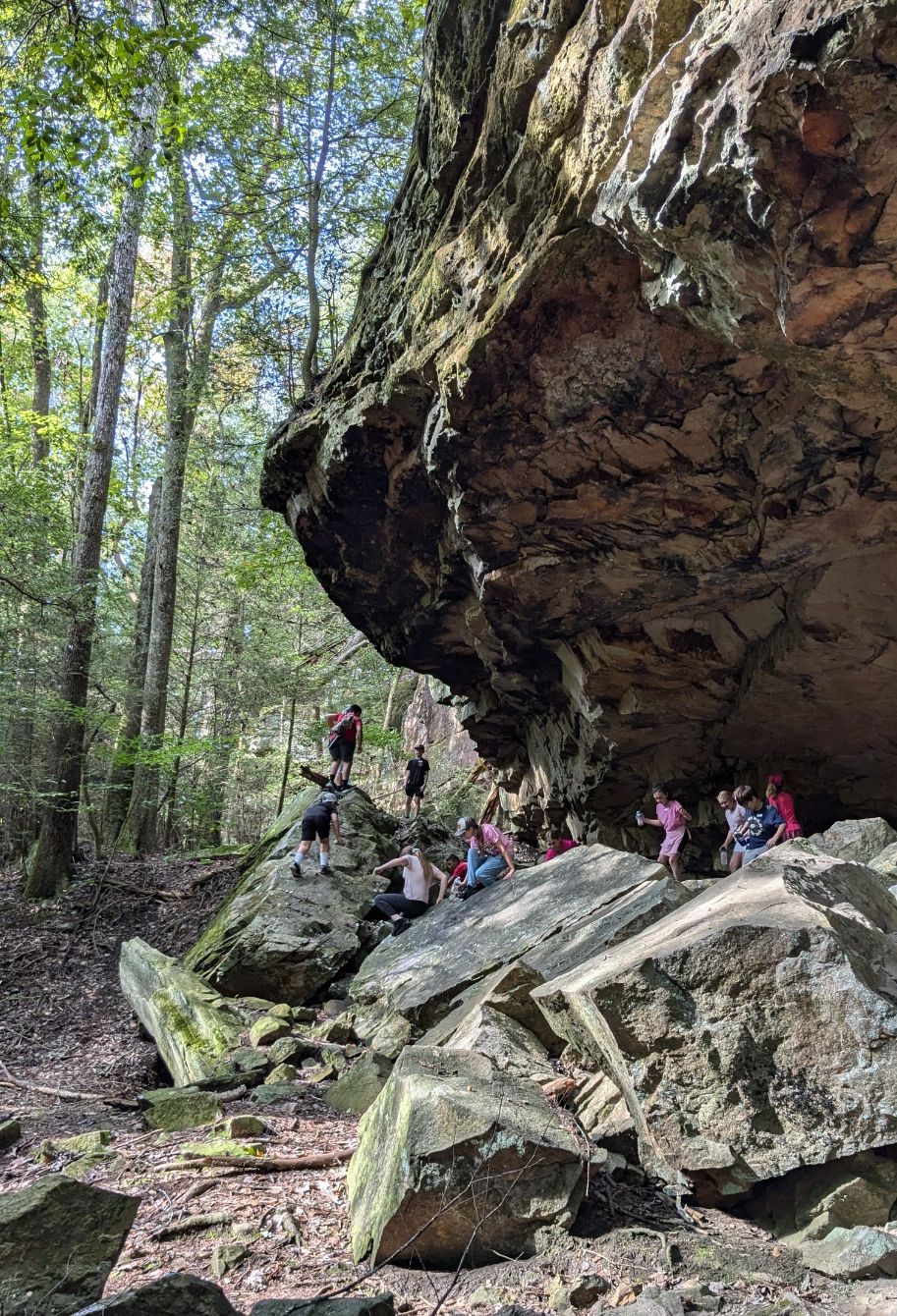 About the  campaign on Bonfire 2