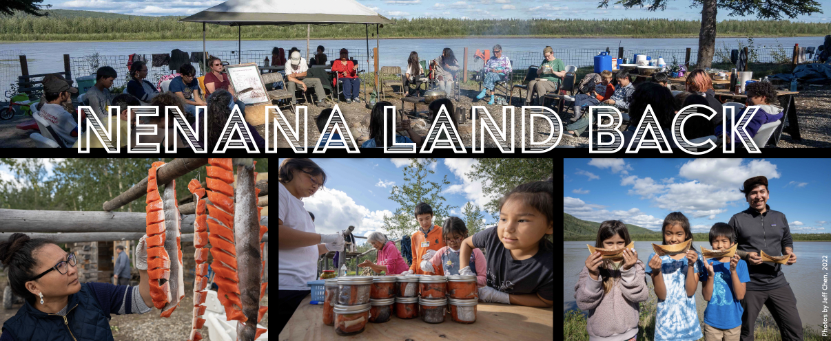 About the Nenana Land Back campaign on Bonfire 1