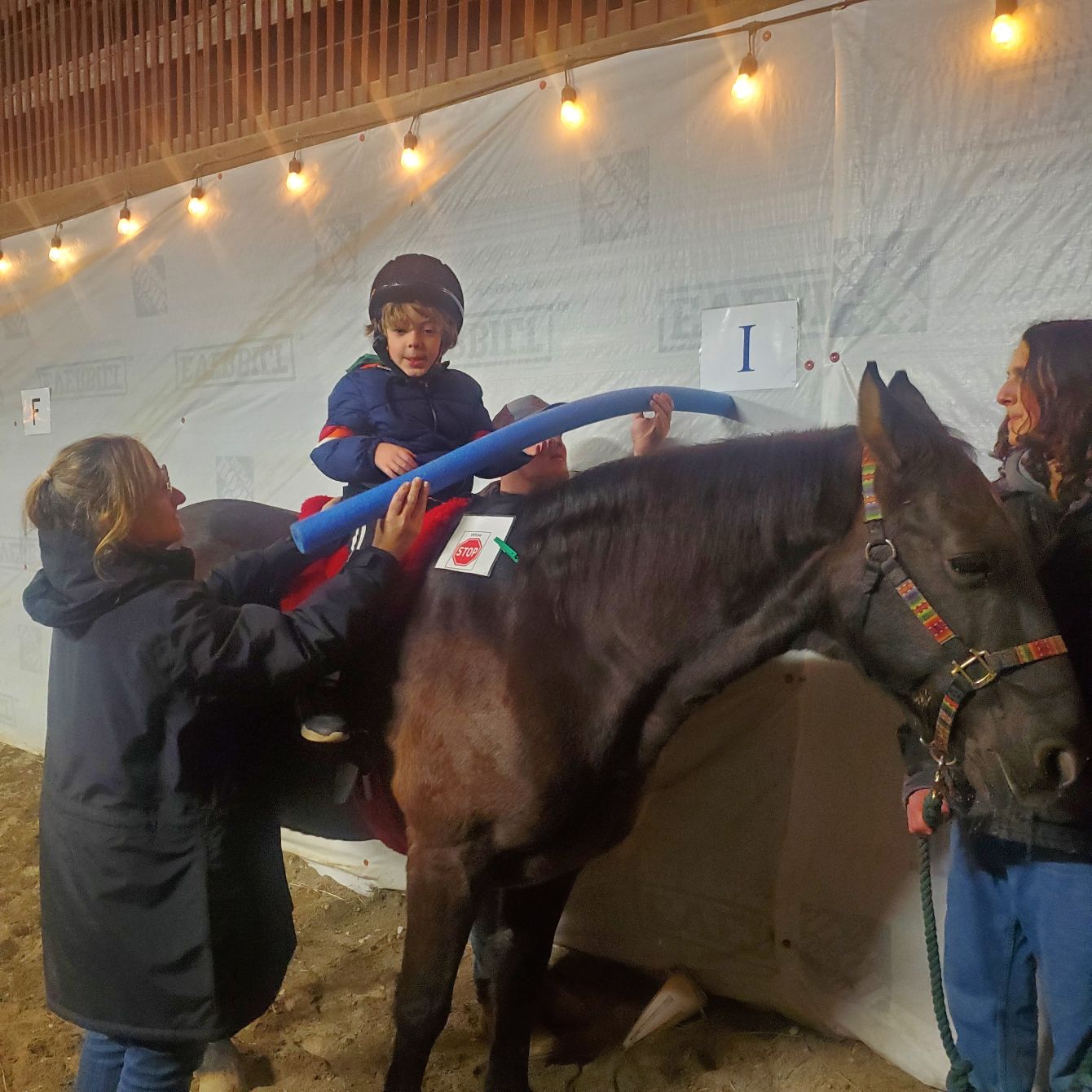 About the Majestic Equine Connections, Inc. campaign on Bonfire 2