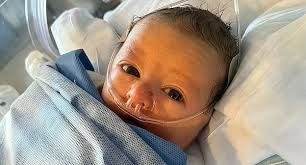 About the Team Felix campaign on Bonfire 2