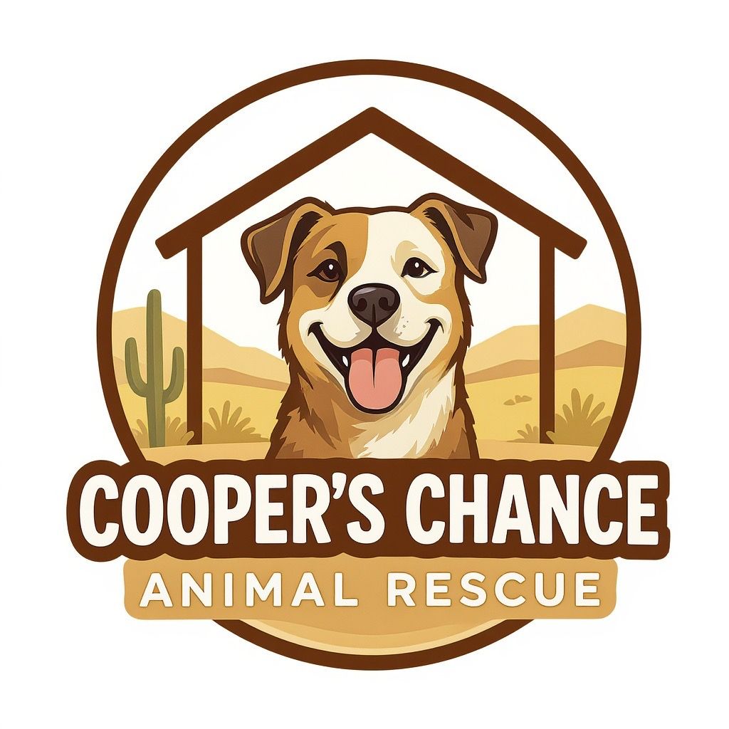 About the  campaign on Bonfire 2